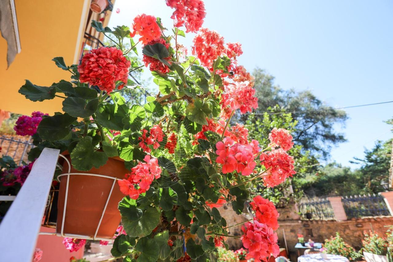 Alexis & Loula Village House Arkadades Ngoại thất bức ảnh